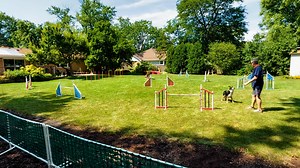 Feeling better! Sometimes getting "back on the horse" is the best medicine. As I mentioned the other day I was pretty down on myself for my poor handling at the USDAA NC Regional. So today, I setup the UKI at home jumping and agility courses and both Snap! and Spark smoked them. Snap! did each one in one try. Spark did the jumping in one try and then dropped the LAST BAR in agility. So it took us a couple more tries to get that one. Nice sequences by Mike Murphy! Here's Spark's agility run. It w