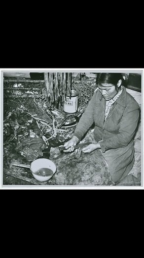 Chipewyan #Chipewyan | Native & North America Indigenous Museum II