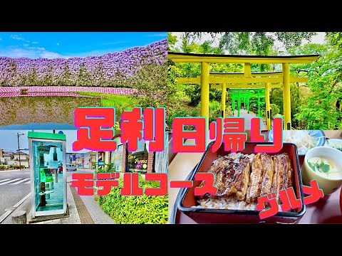 [4K] Complete Guide to Ashikaga Sightseeing (Flower Park/Ashikaga School/Gourmet Food/Watarase Ri...