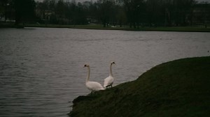 All My Life - America | Lyrics Video