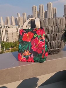 Watch Iknoe Insulated Lunch Bag on Amazon Live