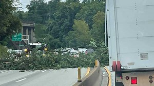 Tree falls onto Parkway East, blocks traffic
