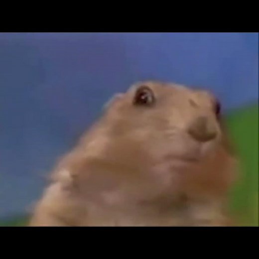 nostalgia diaries - dramatic chipmunk