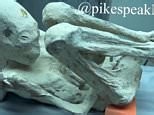 Scientists scanning 'alien mummies' from Peru make shocking discovery