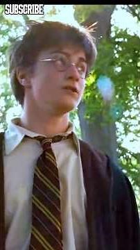 The Hidden Secret Behind Buckbeak's Attack | Harry Potter Explained