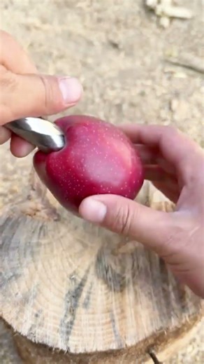 Here's a quick technique for cleaning the core of an apple #technique #cleaning #core #applecore