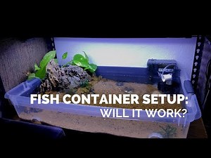 Plastic Storage Container Pond For Fish: Will It Work? (New 14 gallon Setup)