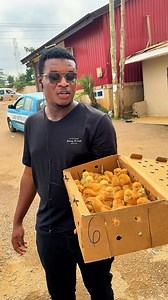 "Boost your farm with Sasso poultry birds! 🐓💪 Known for their hardiness and fast growth, Sasso birds are perfect for farmers in Ghana. Share your Sasso poultry experience! #SassoPoultry #GhanaFarming #PoultryFarming #FarmFresh" | Buckson Emmanuel