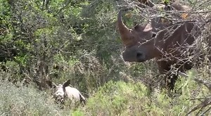 131K views · 151 shares | *헥헛헜헡헢 헖헔헟헙 헕헢헥헡 헢헡 헔헠헔헞헛헔헟헔* We are...