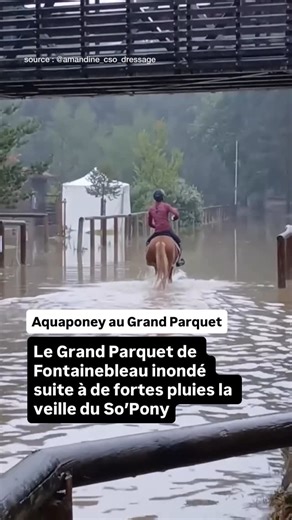 Pégase Daily 🦄 Média Cheval on Instagram: "Une première épreuve Aquaponey pour les participants du So’Pony au Grand Parquet de Fontainebleau ! 🌊🐴 L’édition 2025 du So’Pony a débuté sous des intempéries inattendues qui ont transformé le site en véritable terrain d’eau la veille de la première journée de compétition. Grâce à la mobilisation et au professionnalisme de toutes les équipes, tout est bien qui finit bien : les épreuves ont pu démarrer comme prévu ce jeudi 21 août au cœur du Grand Par