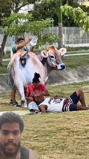 Cow Prank Gone Wrong 😂🐄 | Public Reaction Must Watch