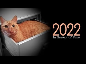 In Memory Of Paco.