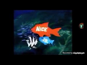 Nick Jr Fish Bumper