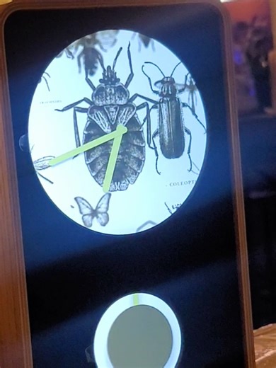 I'm a bug nerd & this clock is so much fun! #klydoclock #newtech #digitalcanvas #digitalartwork