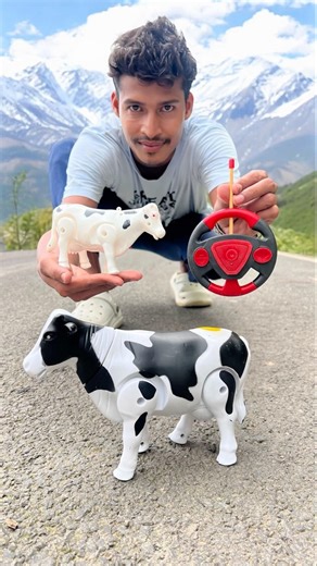 Rc Small & Suto Vs Remote Wala Cow 🐄 Dako Na 🥹