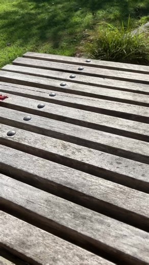 Explore the New Buzz Lightyear Toy Features