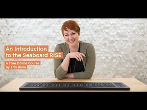 An Introduction to the Seaboard RISE: 2.5 - SLIDE