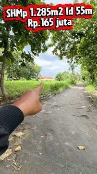 Yard land can be used for rice fields in the city center