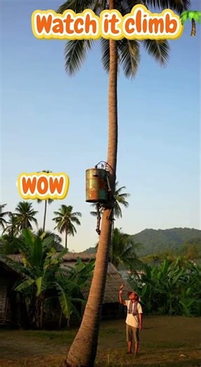This DIY Robot Climbs Coconut Trees #Robot #DIY #Coconut #Farming