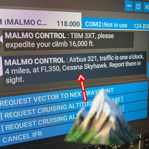 sometimes msfs auto-atc makes me want to pepsi