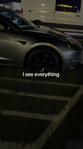 The Tesla model 3 performance rims lasted 4 days.