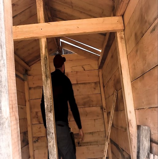 16K views · 274 reactions | Building a shelter to live independently in the forest, work alone overnight, and use wood. | Building Skills | Facebook