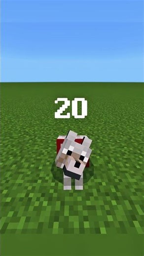 FACTS ABOUT WOLF 🐺 #minecraft