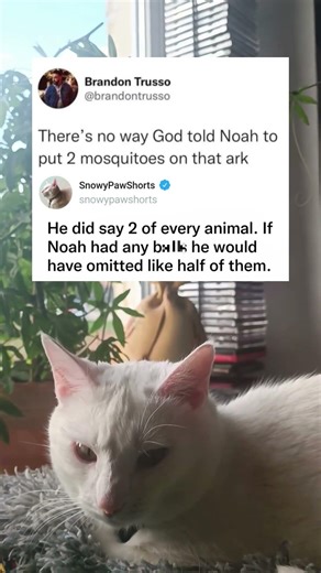 God Told Noah Two of Every Animal Including Mosquitoes