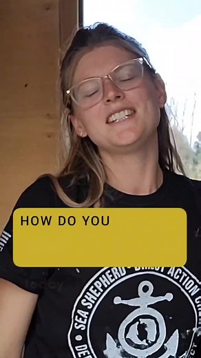 Winterizing a Boat: Staining, Varnishing, and Cleaning Tips