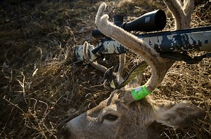 Kimber Introduces the 84M Open Country Rifle. | Outdoors on Outsider