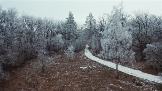 Snowy forest with road. Aerial drone view of snowy winter forest and road