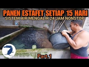 Could be a part time business! LeLe fish cultivation method that doesn't take up much time or effort