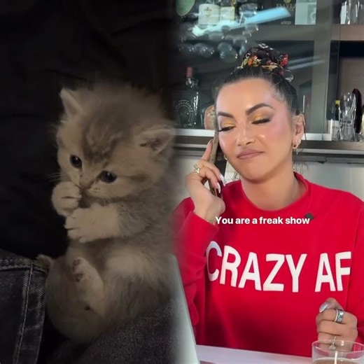 A good Wi-Fi connection 😬