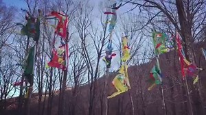 143K views · 4.4K reactions | Prayers in the wind... May all beings be happy. May all beings be healthy. May all beings be safe. May all beings live with ease of heart. | Krishna Das | Facebook