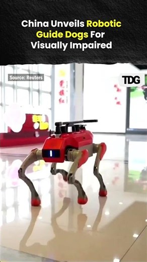 China Unveils Robotic Guide Dogs For Visually Impaired