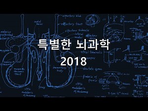 제10회 특별한뇌과학 4강(2018)_전두엽 기능