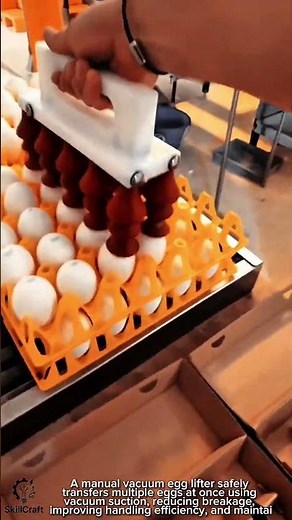 Egg Transfer Work Tool Using Manual Vacuum Egg Lifter #worktool