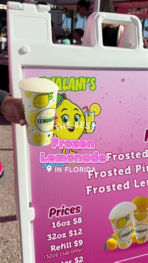 Khalani's Frozen Lemonade: Sweet Customer Experiences