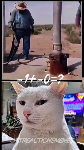 The Math Problem That Broke This Cat! 🐈😂 #-1+0=? #funny #viral #cat #memes