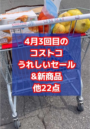 コストコのおすすめ購入品とセール情報