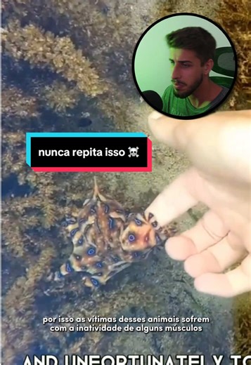 Blue-Ringed Octopus Toxicology: Understand the Risks