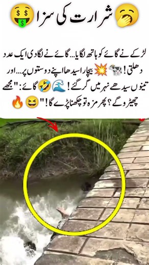 "Cow Kick Chaos 😂 | Boy’s Prank Goes Wrong & All Fall in Canal 🌊 #FunnyFail