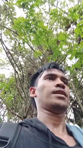 conduct Inspection Pole by pole SEP 42 ASELCO DISTRIBUTION LINE PROJECTS. #tiktok #everyone