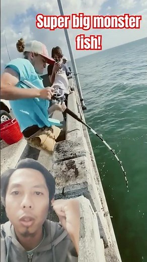 Amazing fishing skill for catching super big grouper fish! #fishing #amazing #grouperfish