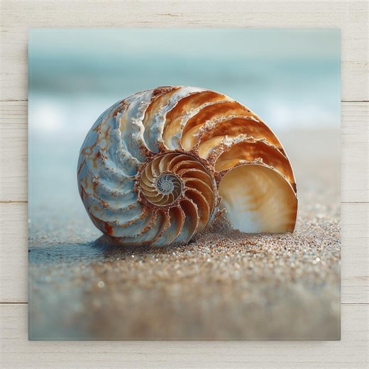 Seashell Coastal Wall Art Ceramic Tile – Nautilus Shell Beach Scene, Nature Inspired Home Decor - Etsy