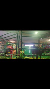 4.4K views · 56 reactions | En daar is 'n nuwe ras-rekord vir 'n #Senepol-bul, verkoop tydens 'n veiling, gestel! Lot 15, 'n bul van #Calcrete Senepol-stoet, het vir 'n indrukwekkende R150 000 verkoop. Kyk na die video hieronder om te sien hoe die verkoop van dié bul verloop het. Senepol Cattle Breeders's Society of South Africa Vleissentraal Vleissentraal Bloemfontein | Veeplaas Tydskrif | Facebook