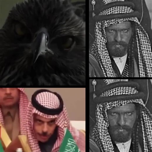 خليجنا واحد: نص دفاع وقوة عظيمة