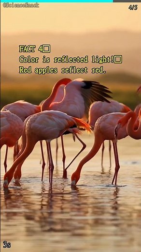 5 Mind-Blowing Light Facts You Didn't Know ⚡