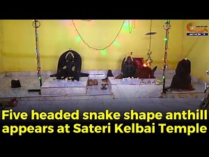 Five headed snake shape anthill appears at Sateri Kelbai Temple. Locals believe it as a miracle