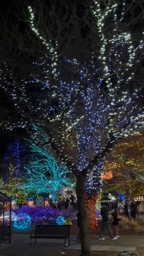 Ogden’s Christmas Village, named USA Today’s #2 Best Public Light Display, is FREE and open to the public through New Year’s Day! 🎄✨ Stroll the magical displays nightly: Sun–Thurs: 5–10 PM Fri & Sat: 5 PM–midnight Open on Christmas Eve, Christmas Day, and New Year’s! 🎅 Visit Santa before Christmas Eve: Mon–Fri: 6–9 PM Saturday: 5–9 PM #christmasvillage #christmas #ogden #utah | Historic 25th Street - Ogden, Utah